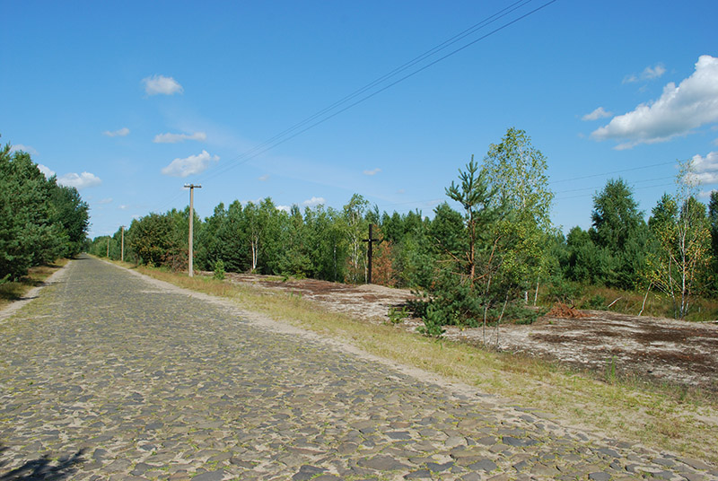 4. Дорога до Осови.