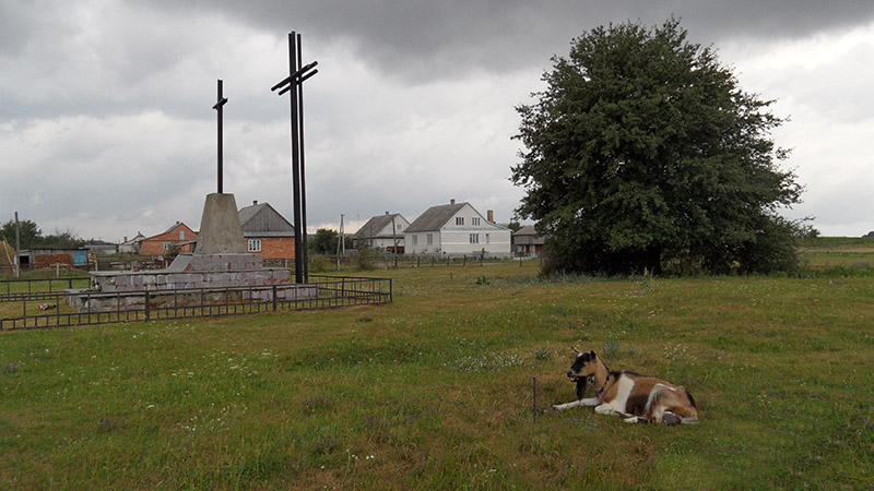 4. Кладовищу не дали зарости кози, корови та коні.
