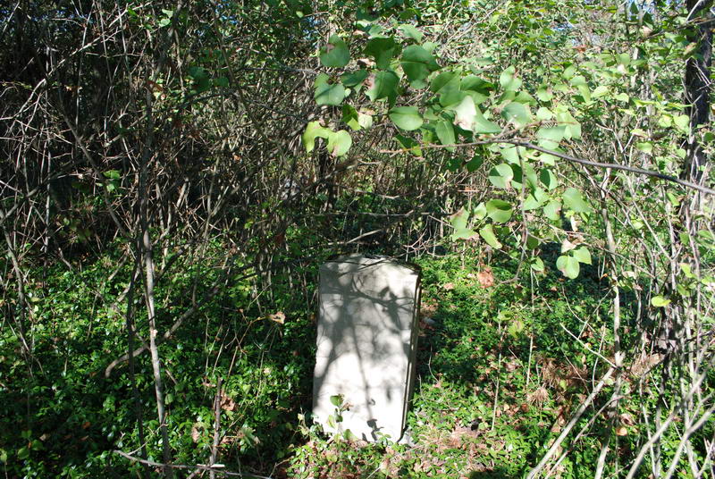 6. Nagrobek na cmentarzu.