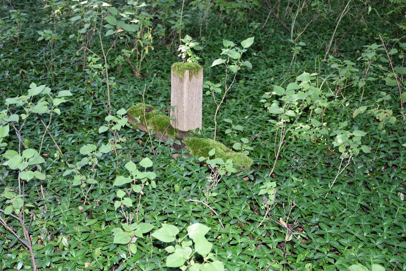 7. Ostatni z krzyży.