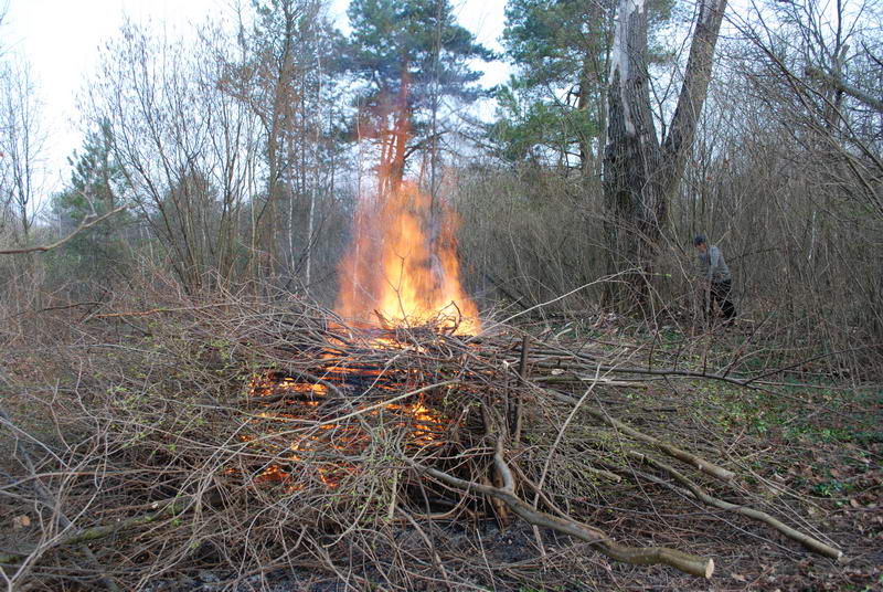 2. Czyścimy cmentarz. 10 kwietnia 2010 r.