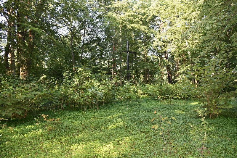 11. Wygląd cmentarza w lipcu 2018 r.