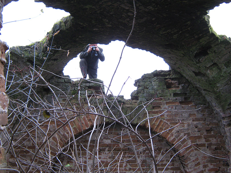 5. Руїни гробниці графів Ворцелів.