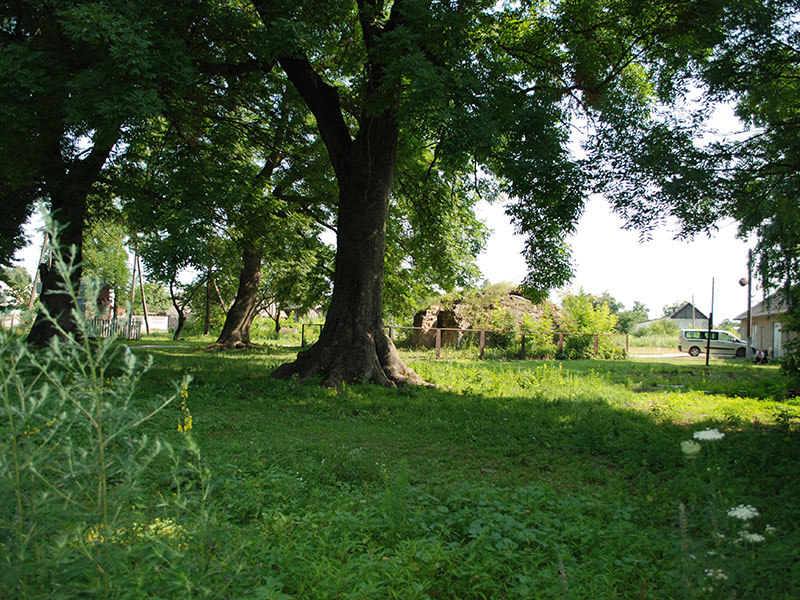 3. Ruiny grobowca hrabiów Worcellów. Domy z tyłu stoją na cmentarzu.